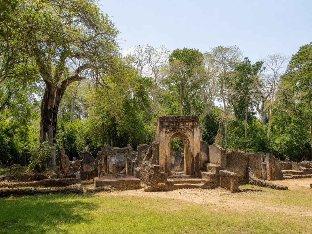 Ancient stone ruins of Gedi surrounded by dense forest