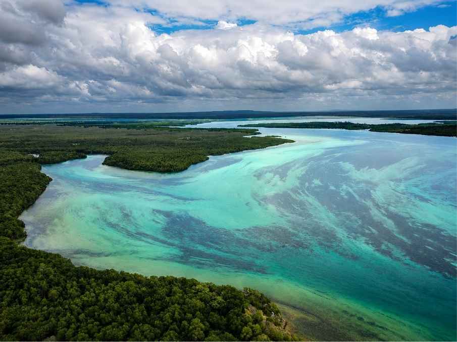 Arial image of mida Creek mangrove channels at low tide, Watamu Kenya.