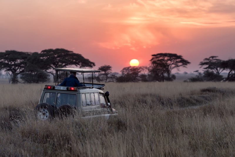 An elephant in Tsavo East National Park — Kenya's largest national park, accessible from Watamu.