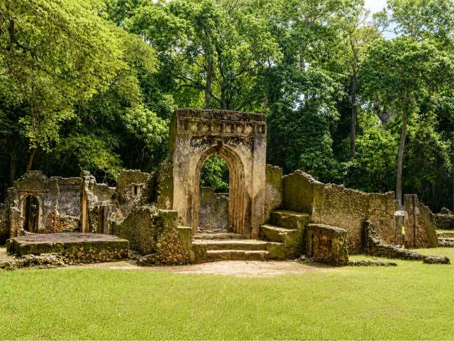 The Gedi Ruins under fig trees — abandoned 13th-century Swahili stone town near Watamu.