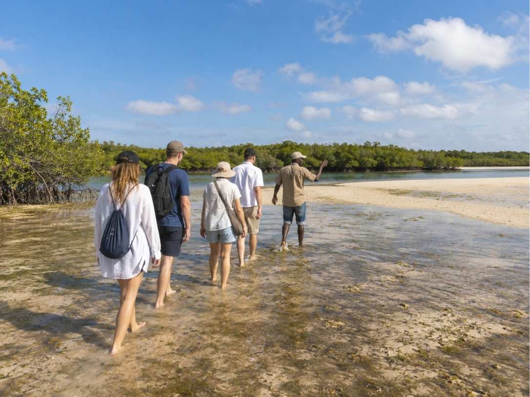 Mida Creek at low tide with exposed mangrove roots